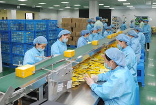 姚書記強(qiáng)調(diào)安全生產(chǎn) 確保國(guó)慶佳節(jié)平安祥和——重點(diǎn)關(guān)注茶葉制品生產(chǎn)領(lǐng)域