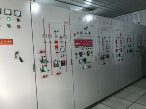 京東超市11.11溯源團走進安貝茶業(yè) 以定制化產品驅動三倍增長新目標